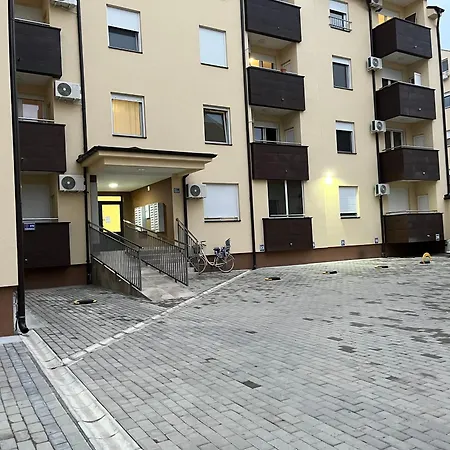 Lazar Novi Sad
